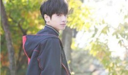 明星爆料宋茜罗云熙视频,甜蜜瞬间引网友热议